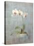 Elegant Orchid II-Danhui Nai-Stretched Canvas