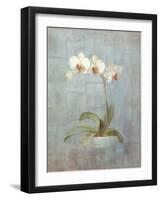 Elegant Orchid II-Danhui Nai-Framed Art Print