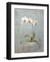 Elegant Orchid II-Danhui Nai-Framed Art Print