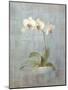 Elegant Orchid II-Danhui Nai-Mounted Art Print