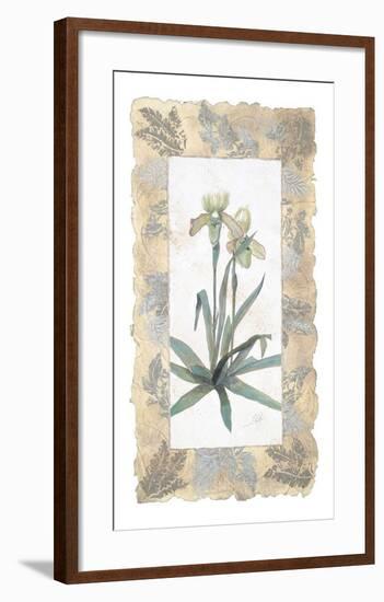 Elegant Orchid-George Caso-Framed Art Print