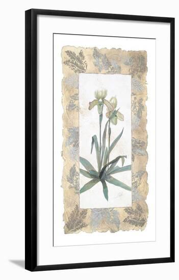 Elegant Orchid-George Caso-Framed Art Print