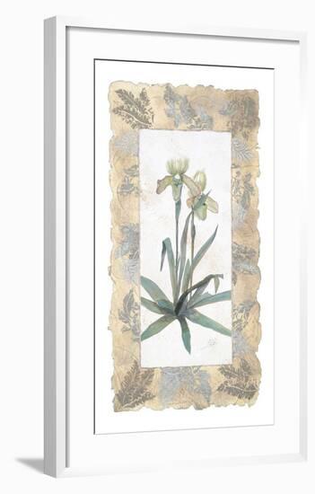 Elegant Orchid-George Caso-Framed Art Print