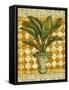 Elegant Palms II-Kathleen Denis-Framed Stretched Canvas