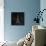 Elegant Paris Gold III-Linda Baliko-Framed Stretched Canvas displayed on a wall