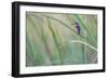 Elegant Pause-Staffan Widstrand-Framed Giclee Print