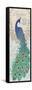 Elegant Peacock-Piper Ballantyne-Framed Stretched Canvas