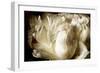 Elegant Peony I-Christine Zalewski-Framed Premium Giclee Print