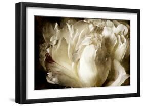 Elegant Peony I-Christine Zalewski-Framed Art Print