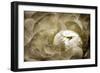 Elegant Peony II-Christine Zalewski-Framed Premium Giclee Print