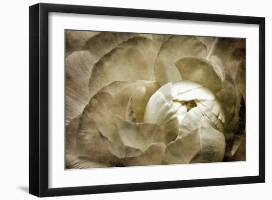 Elegant Peony II-Christine Zalewski-Framed Art Print