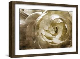 Elegant Peony III-Christine Zalewski-Framed Art Print