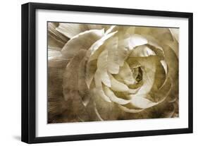 Elegant Peony III-Christine Zalewski-Framed Art Print