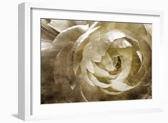 Elegant Peony III-Christine Zalewski-Framed Art Print