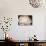 Elegant Ranunculus I-Christine Zalewski-Stretched Canvas displayed on a wall