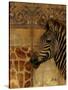 Elegant Safari I (Zebra)-Patricia Pinto-Stretched Canvas