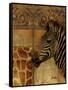 Elegant Safari I (Zebra)-Patricia Pinto-Framed Stretched Canvas