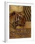 Elegant Safari II (Tiger)-Patricia Pinto-Framed Art Print