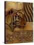 Elegant Safari II (Tiger)-Patricia Pinto-Stretched Canvas