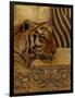 Elegant Safari II (Tiger)-Patricia Pinto-Framed Art Print