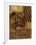 Elegant Safari II (Tiger)-Patricia Pinto-Framed Art Print