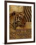 Elegant Safari II (Tiger)-Patricia Pinto-Framed Art Print