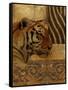 Elegant Safari II (Tiger)-Patricia Pinto-Framed Stretched Canvas