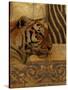 Elegant Safari II (Tiger)-Patricia Pinto-Stretched Canvas