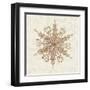 Elegant Season Snowflake I Pink-Daphne Brissonnet-Framed Art Print