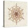 Elegant Season Snowflake II Pink-Daphne Brissonnet-Stretched Canvas