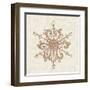 Elegant Season Snowflake IV Pink-Daphne Brissonnet-Framed Art Print