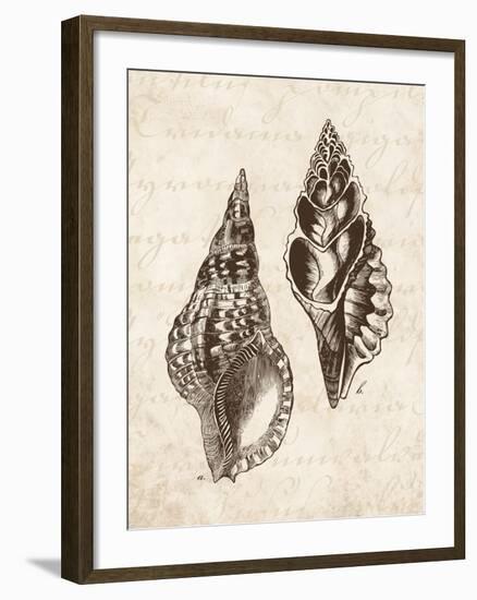 Elegant Shells I-N. Harbick-Framed Art Print