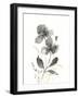 Elegant Silhouette II-null-Framed Art Print