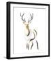 Elegant Stag-Kellas Campbell-Framed Giclee Print