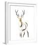 Elegant Stag-Kellas Campbell-Framed Giclee Print