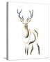 Elegant Stag-Kellas Campbell-Stretched Canvas