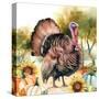 Elegant Thanksgiving Turkey II-Nicole DeCamp-Stretched Canvas
