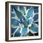 Elegant Thorns-Jan Bell-Framed Photographic Print