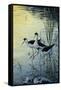 Elegant Trio - Blacknecked Stilts-Jeff Tift-Framed Stretched Canvas