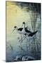 Elegant Trio - Blacknecked Stilts-Jeff Tift-Mounted Giclee Print