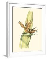 Elegant Tropics I-Jennifer Goldberger-Framed Art Print