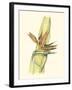 Elegant Tropics I-Jennifer Goldberger-Framed Art Print