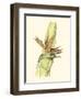 Elegant Tropics I-Jennifer Goldberger-Framed Art Print