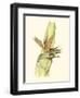 Elegant Tropics I-Jennifer Goldberger-Framed Art Print