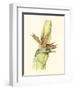 Elegant Tropics I-Jennifer Goldberger-Framed Art Print