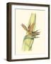 Elegant Tropics I-Jennifer Goldberger-Framed Art Print