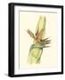 Elegant Tropics I-Jennifer Goldberger-Framed Art Print