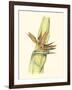 Elegant Tropics I-Jennifer Goldberger-Framed Art Print