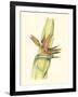 Elegant Tropics I-Jennifer Goldberger-Framed Art Print