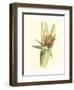 Elegant Tropics II-Jennifer Goldberger-Framed Art Print